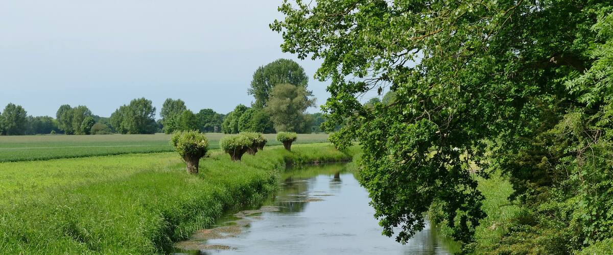 LSG-H 48 Fuhsetal: Fuhse-Brücke bei Wackerwinkel, Blick gegen die Fließrichtung. Hier säumt eine Reihe von Kopfweiden den Fluss.