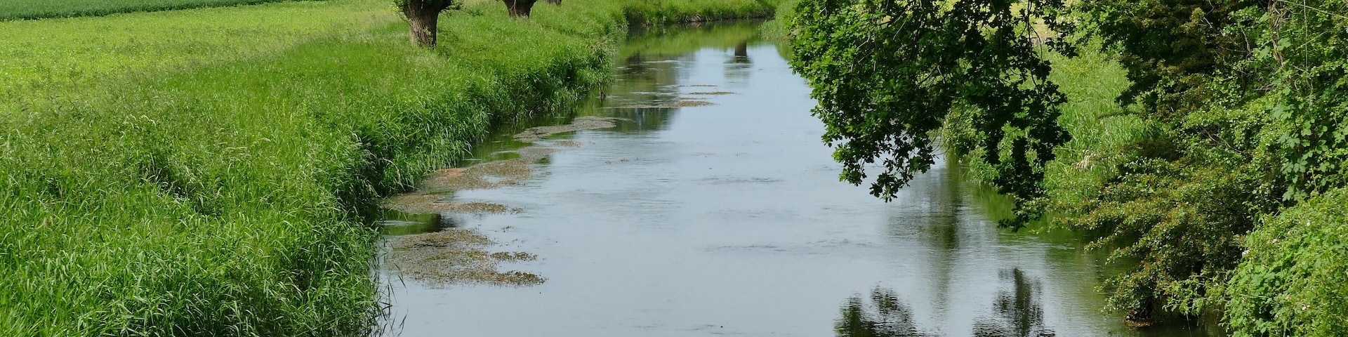 LSG-H 48 Fuhsetal: Fuhse-Brücke bei Wackerwinkel, Blick gegen die Fließrichtung. Hier säumt eine Reihe von Kopfweiden den Fluss.