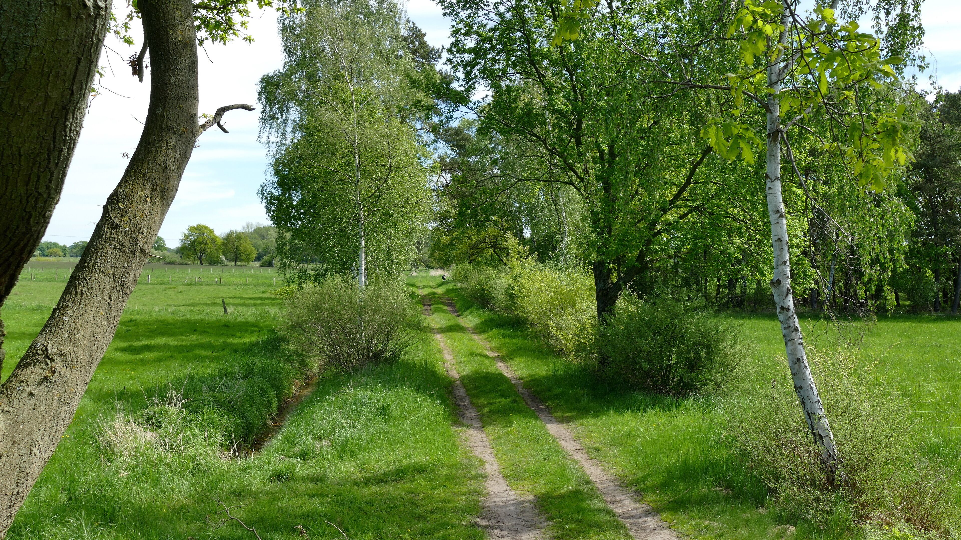 Mit dem Landschaftsschutzgebiet Im Flethe (LSG-H 69) wird ein Mosaik von Feuchtwiesen, Feldgehölzen, Baumreihen und Hecken, kleinen Waldflächen, Senken, Gräben und Stillgewässern geschützt.