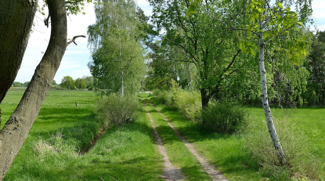Mit dem Landschaftsschutzgebiet Im Flethe (LSG-H 69) wird ein Mosaik von Feuchtwiesen, Feldgehölzen, Baumreihen und Hecken, kleinen Waldflächen, Senken, Gräben und Stillgewässern geschützt.