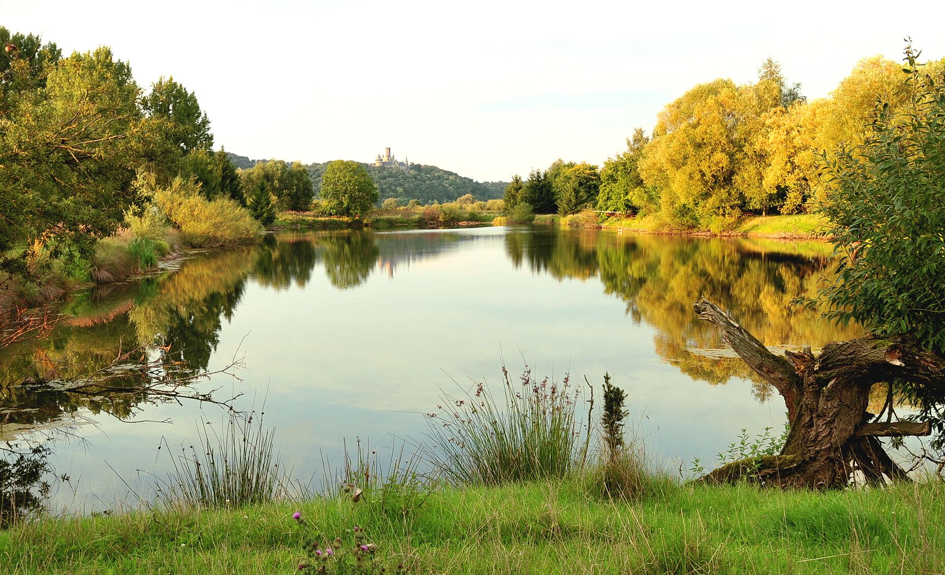 Pond near Wülfingen in Elze, district Hildesheim, Lower Saxony, Germany. From here one can see the castle Marienburg.