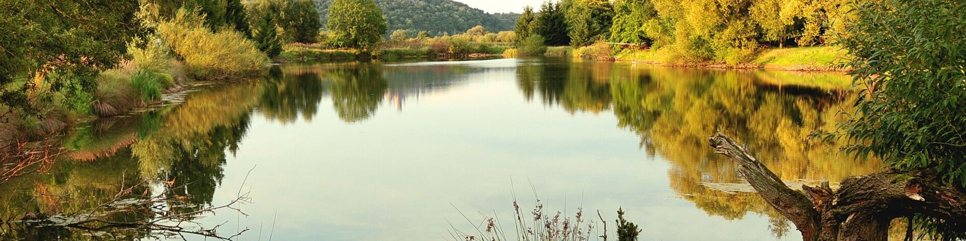 Pond near Wülfingen in Elze, district Hildesheim, Lower Saxony, Germany. From here one can see the castle Marienburg.