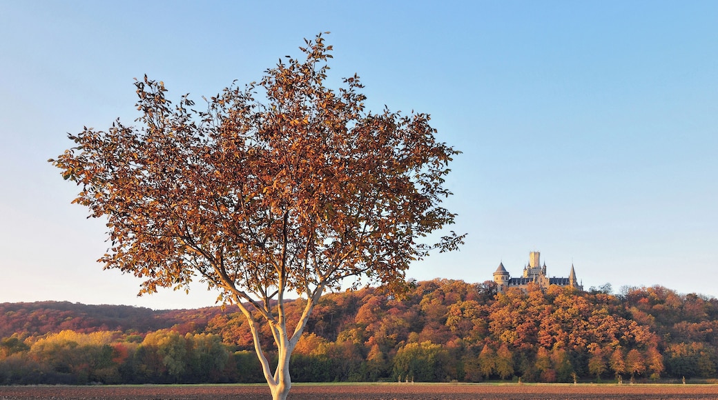 Mountain Marienberg and the Marienburg Castle in autumn. Marienburg Castle is a famous German castle in the Region Hanover, Lower Saxony, Germany, built by Marie of Saxe-Altenburg, Queen of Hanover. The castle mustn't be confused with the Marienburg near Hildesheim. The October is in Germany a sunny and colorful time with autumn leaf color, therefore Germans name the October "Goldener Oktober" (golden October). The image is made on 31. October. This is in Germany mostly the last day with Autumn leaf color. On this day the colouring is already brownish before the leaves fall.
