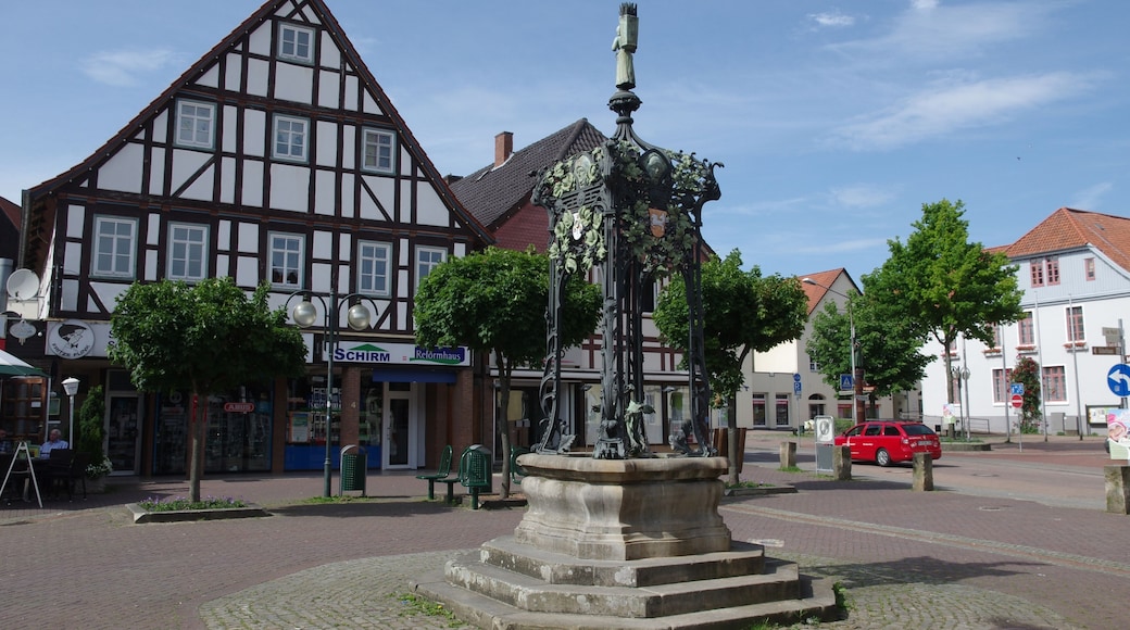 Springe in Niedersachsen. Das Haus, die Adresse steht im Namen der Datei, steht unter Denkmalschutz.