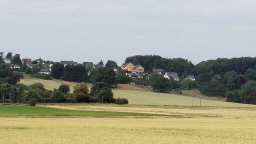 Blick nach Westen auf den Wolfsberg bei Lüdersen (Stadt Springe)