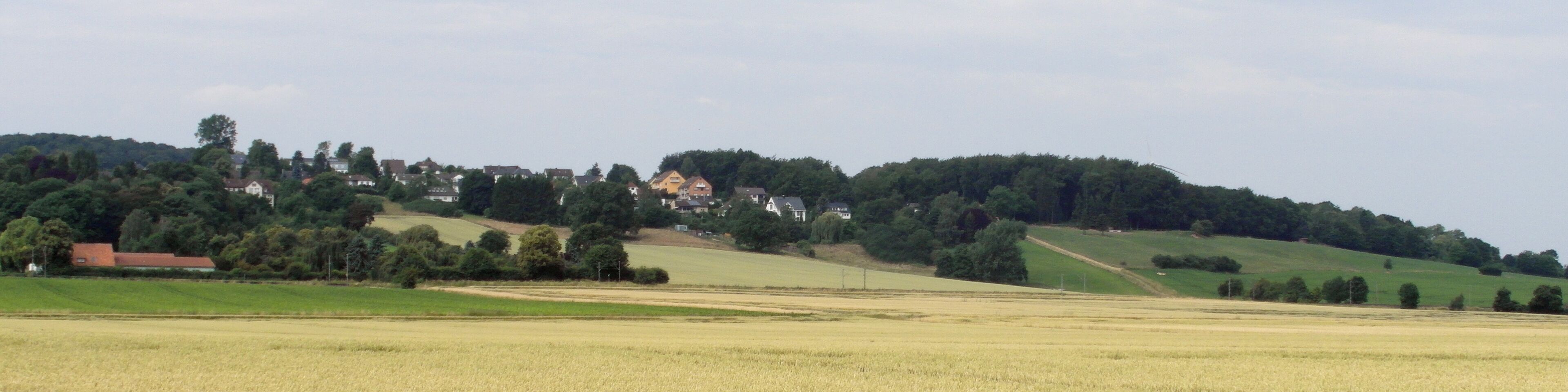 A rural landscape with fields, a hill with houses, and a forested area.