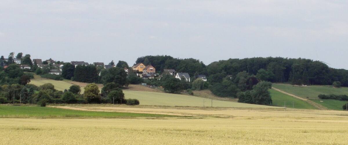 A rural landscape with fields, a hill with houses, and a forested area.