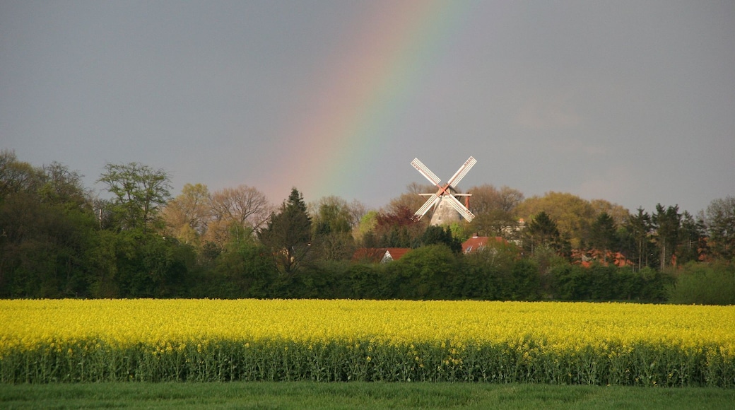 Eystruper Windmühle