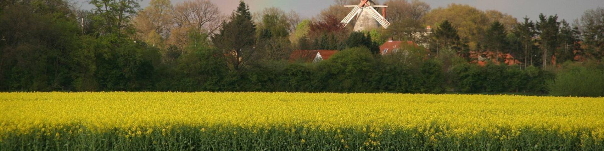 Eystruper Windmühle