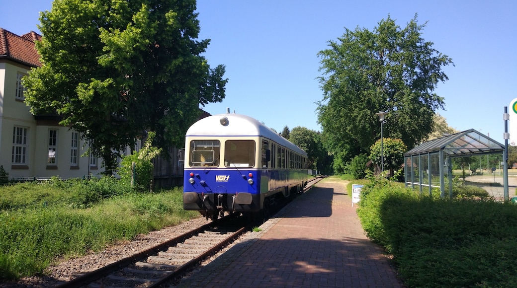Dieseltriebwagen T3 (95 80 0303 001-1 D-DEV) "Kaffkieker" des Deutschen Eisenbahn-Vereins DEV im Bahnhof Eystrup. Der Triebwagen fährt im Sommer an einigen Sonntagen und zu Veranstaltungen auf der DEV-Normalspurstrecke Eystrup - Bruchhausen-Vilsen - Syke