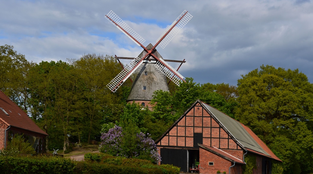 A traditional windmill surrounded by lush greenery and a small brick building.