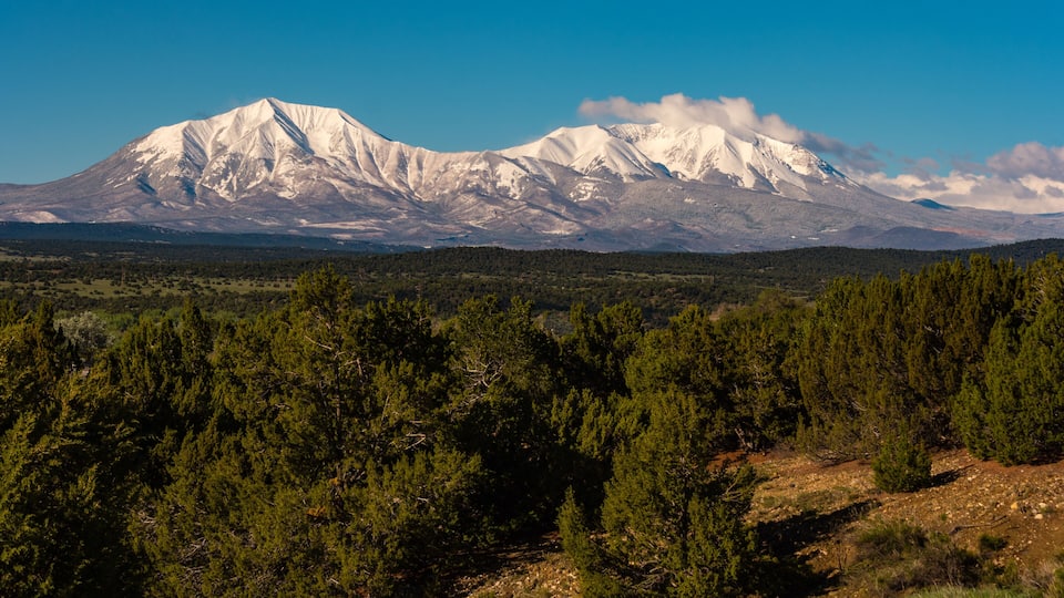 A snow-capped mountain range with dense forest in the foreground.