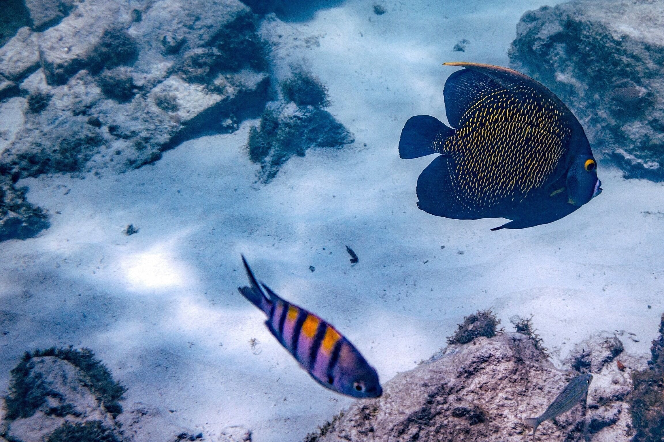 The best snorkeling on the island