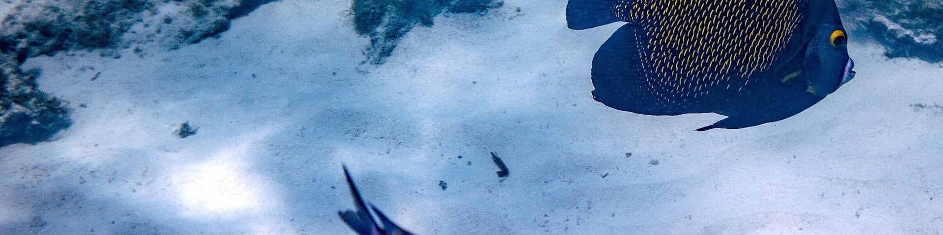 The best snorkeling on the island