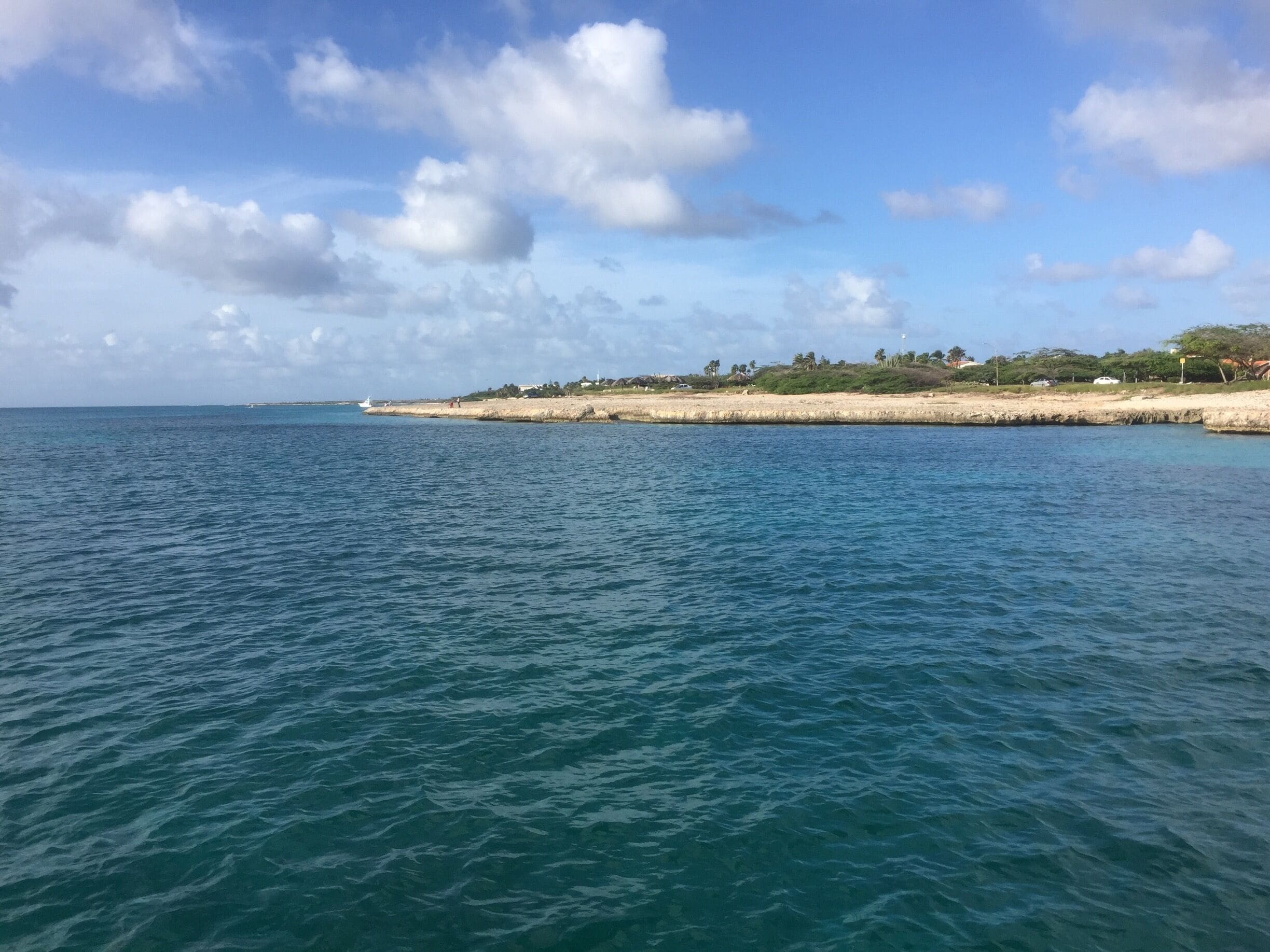 Floating on a boat in the Caribbean Sea looking out at Aruba!  