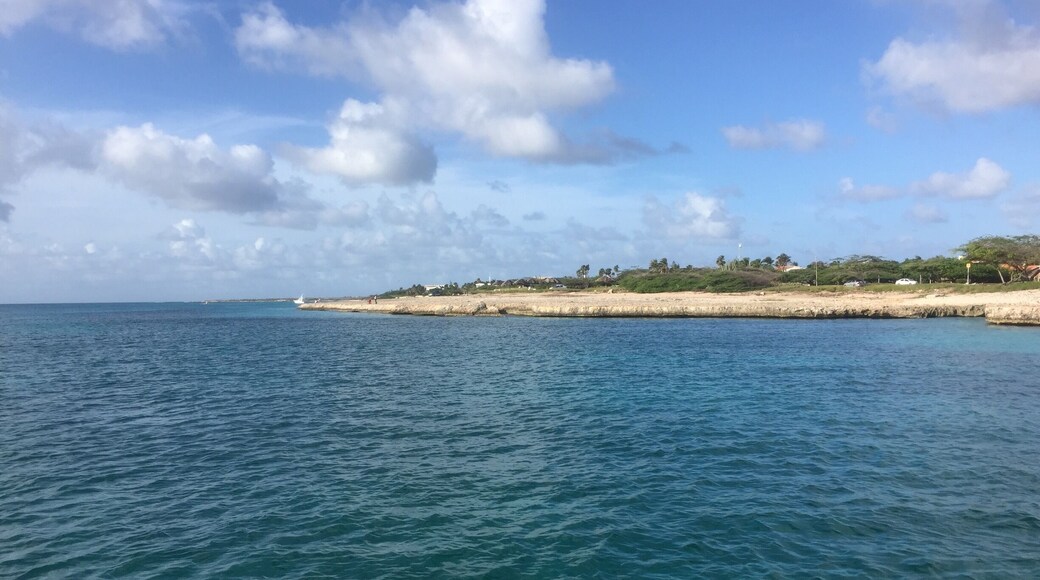 Floating on a boat in the Caribbean Sea looking out at Aruba!