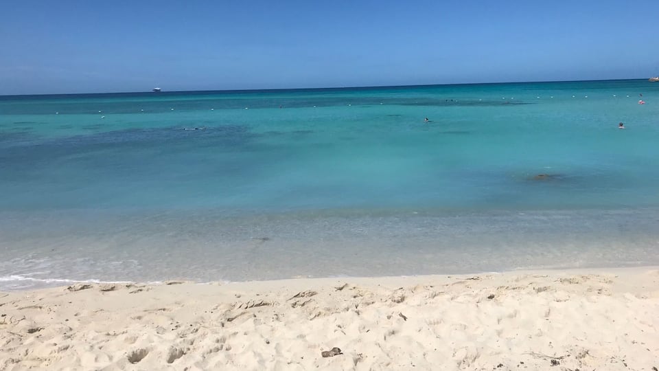 Favorite place to be #Aruba