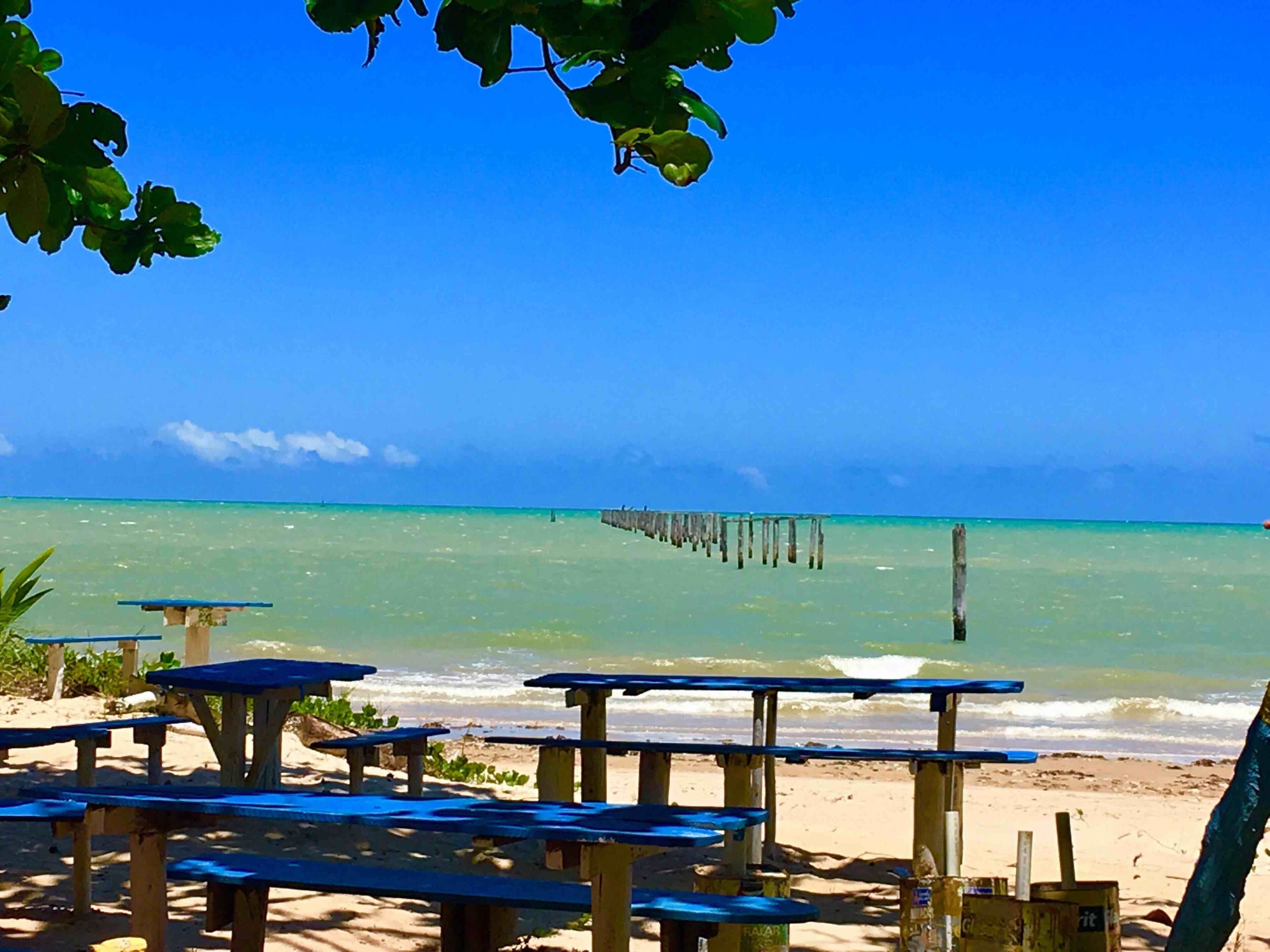 🇧🇷BAHIA🇧🇷