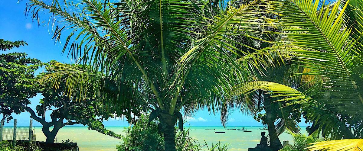 Una playa con palmeras y un cielo azul despejado.