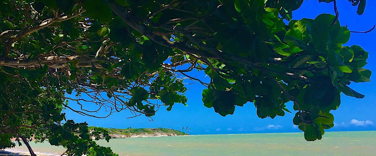 🇧🇷Bahia🇧🇷