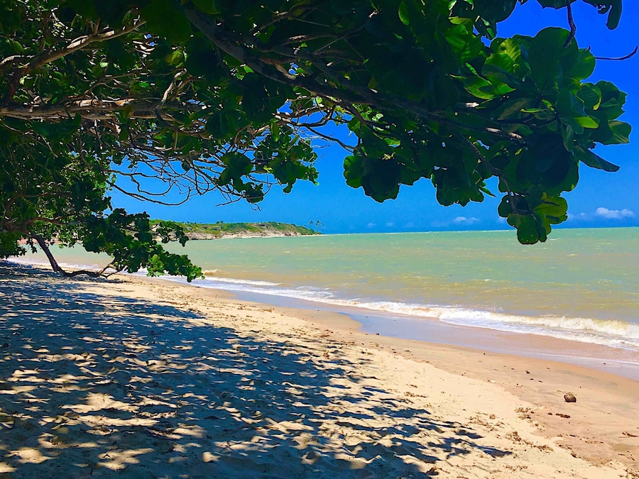 🇧🇷Bahia🇧🇷