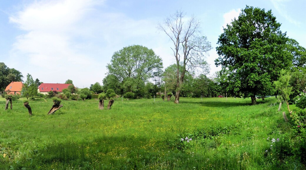 Starkow / Velgast Starkow bei Velgast, Barthewiesen und St-Jรผrgen-Kirche