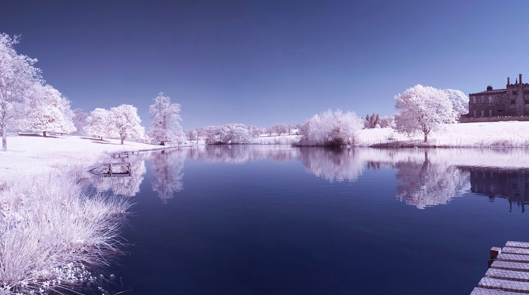 Ripley Castle in Infrared II