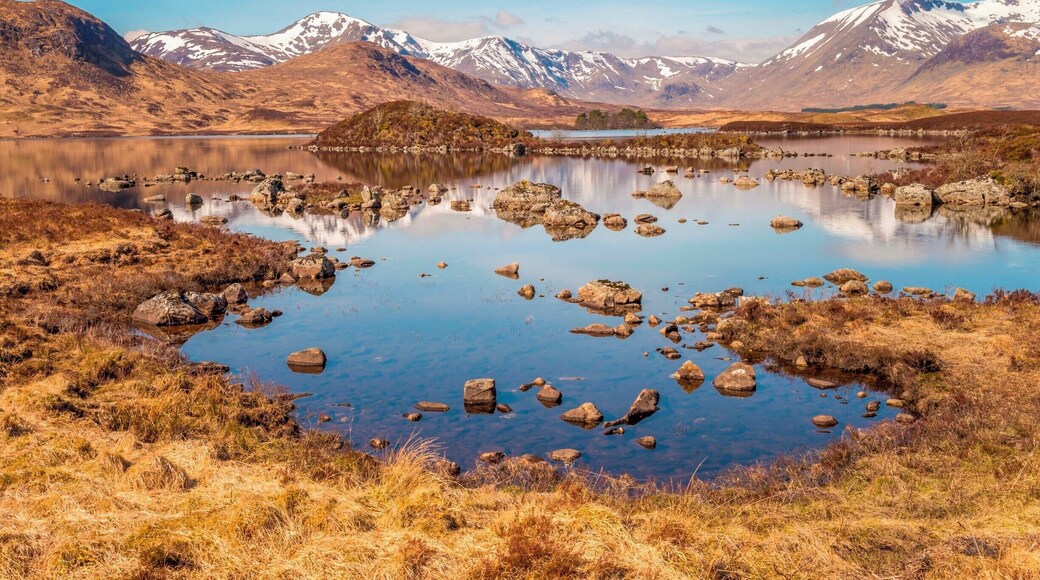This was taken during my first time visiting this Loch - it's one of my favourite locations to shoot in Scotland, and looks good in most weather conditions and throughout the year - just beware the midges swarming around you during the summer!
#BvSWater