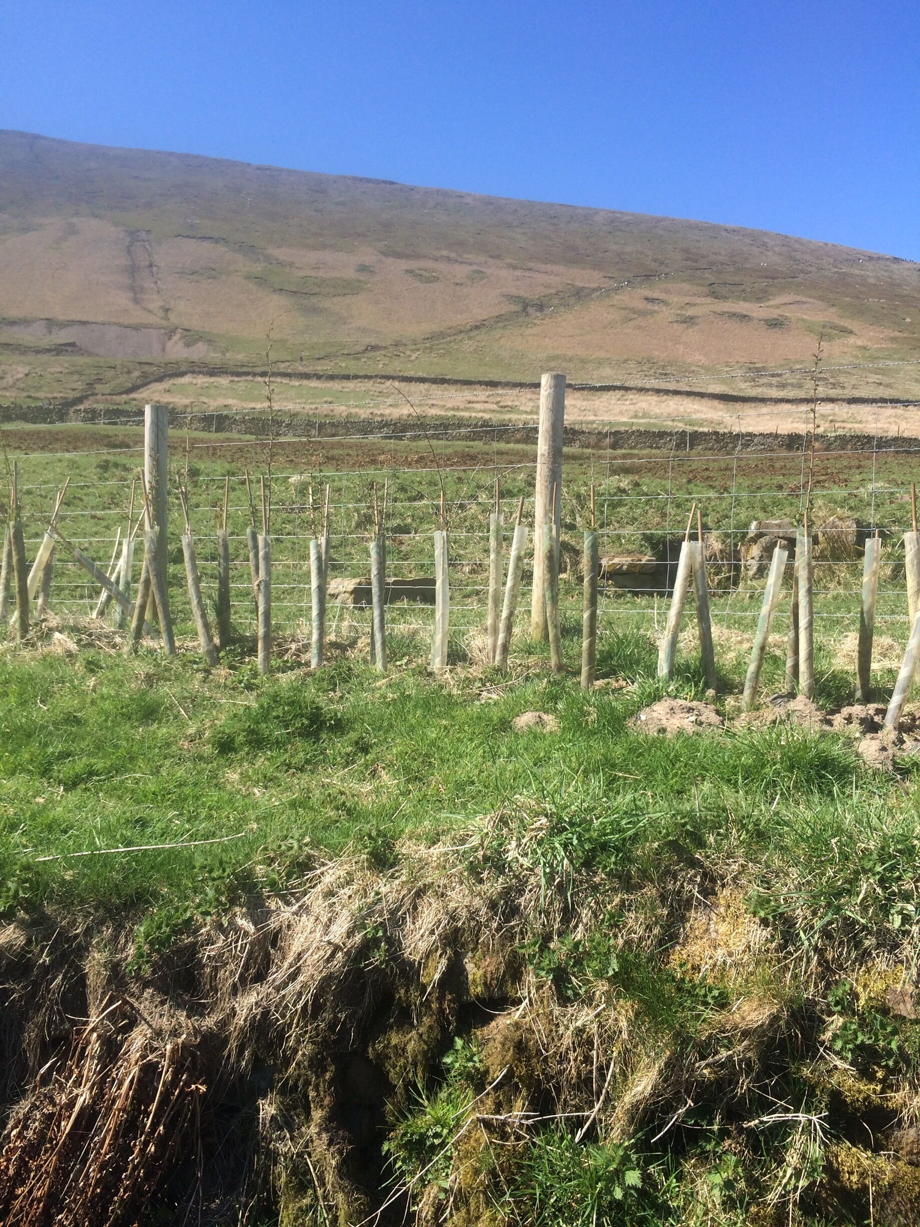 A regular walk that's local to us.... Different every time :) 