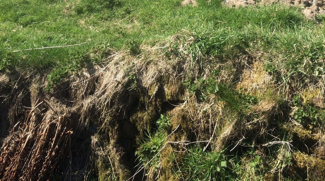 A regular walk that's local to us.... Different every time :)