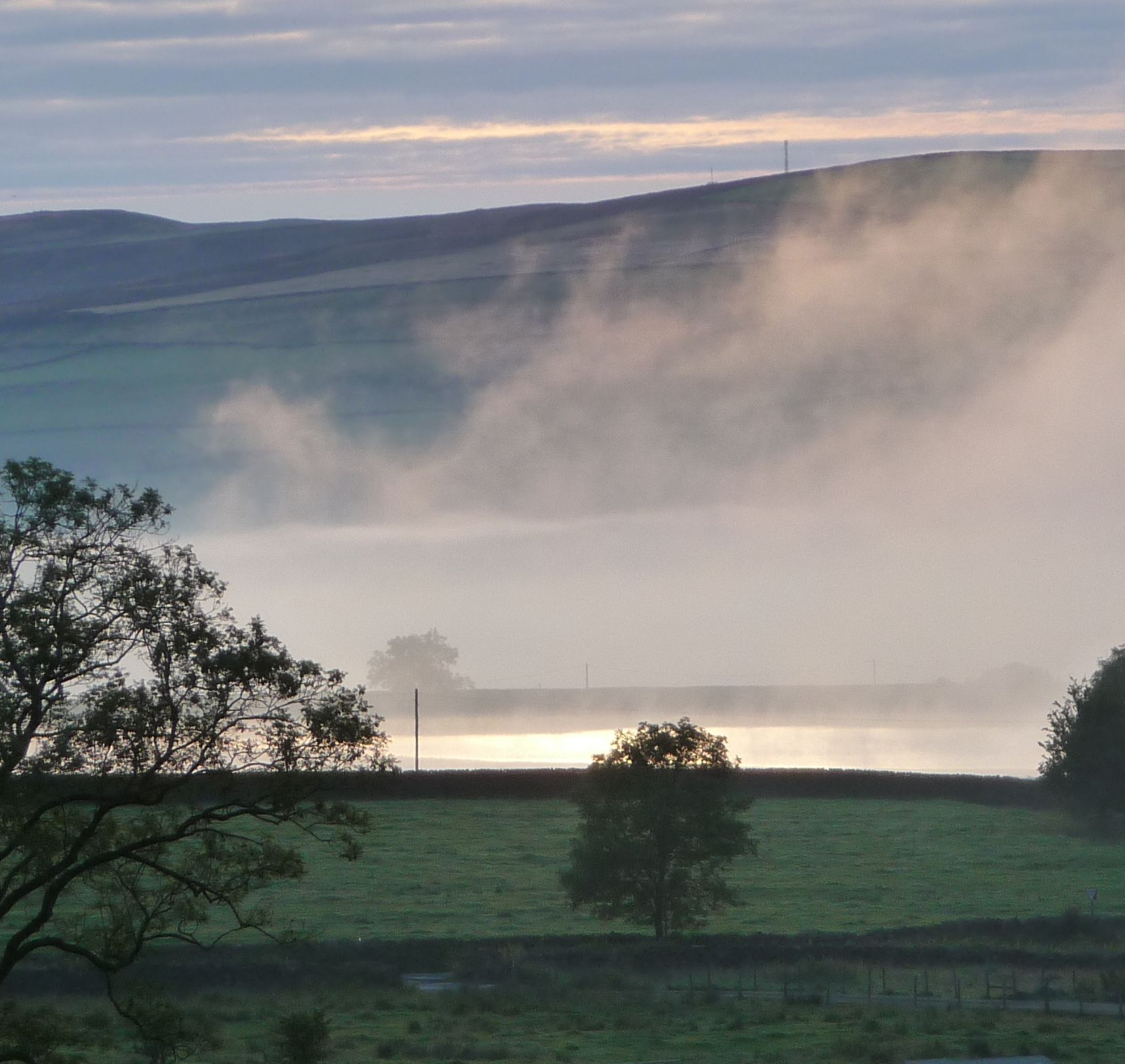 A misty landscape with rolling hills, a body of water, and a tree in the foreground.