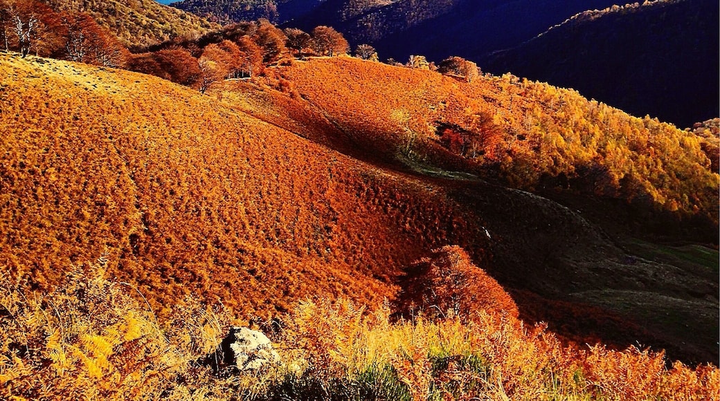 Orta Lake's view. Stunning landscape on the way to Alpe Sacchi, place you can reach by car.