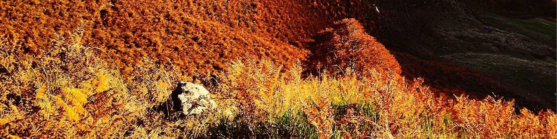 Orta Lake's view. Stunning landscape on the way to Alpe Sacchi, place you can reach by car.