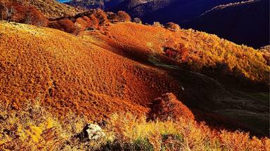 Orta Lake's view. Stunning landscape on the way to Alpe Sacchi, place you can reach by car.