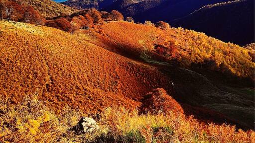 Orta Lake's view. Stunning landscape on the way to Alpe Sacchi, place you can reach by car.