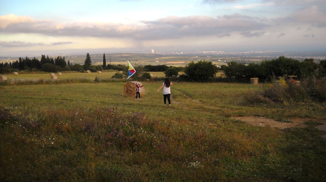 The authorisation for taking photos of this object was provided by the World Wide Fund for Nature Italy.