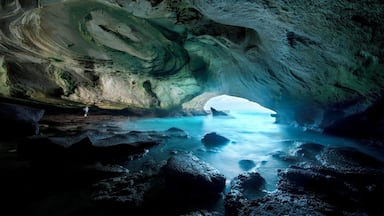 " A Cave so large you can turn a wagon and ox around in it " is how this huge sea cave is described by the locals and its name " Waenhuiskrans " directly translates to Wagon House Cliff.
This Cave can only be accessed at low tide, and the rocks are really sharp around it, good shoes are seriously recommended.
#BvsExplore