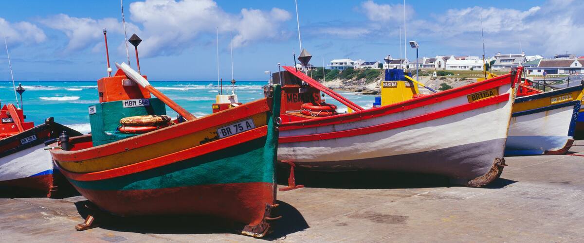 Several colorful boats docked at a pier with a beach and houses in the background.