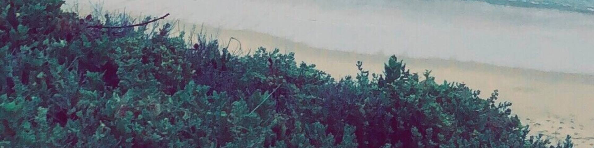 #LifeAtExpedia #BeachTips
Arniston, South Africa