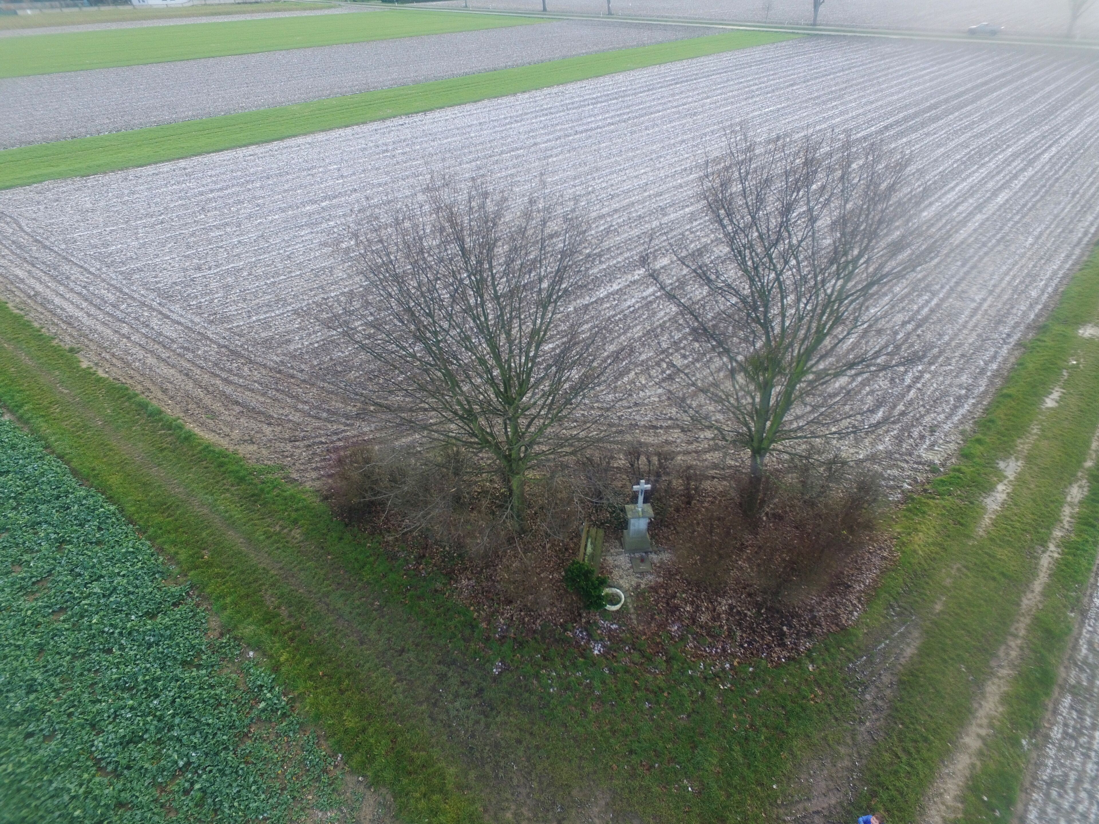 An aerial view of a field with two leafless trees and a cross in the center.