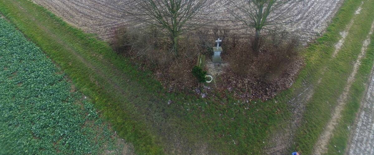 An aerial view of a field with two leafless trees and a cross in the center.