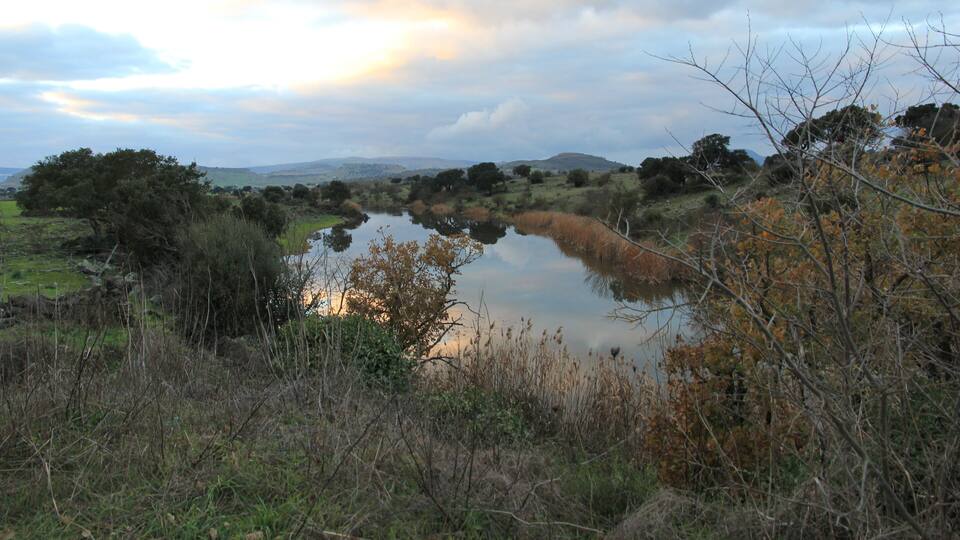 A calm river surrounded by trees and grass.