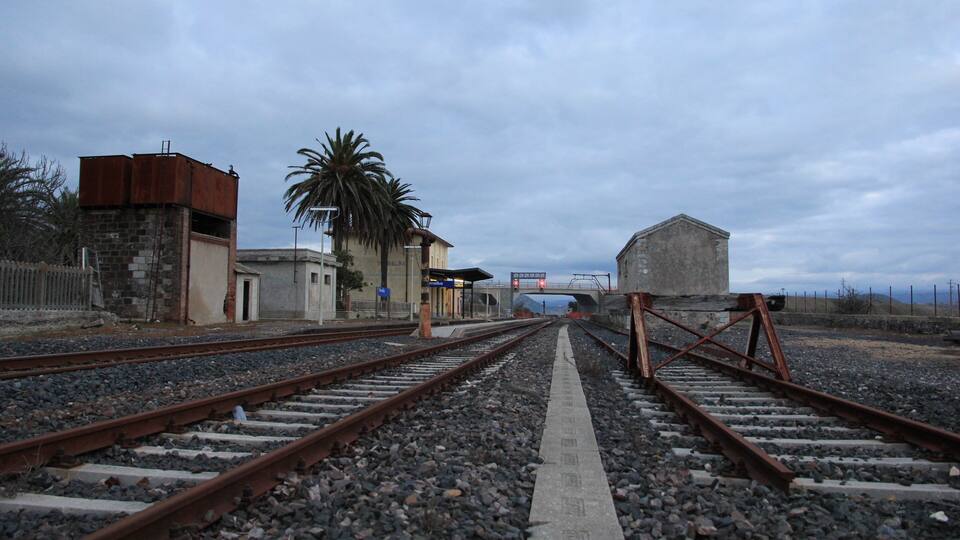 Railway tracks with a palm tree, a small building, and a bridge in the background.