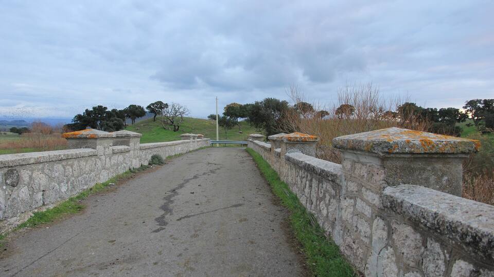 A paved pathway with stone walls and a bench, surrounded by grass and trees.