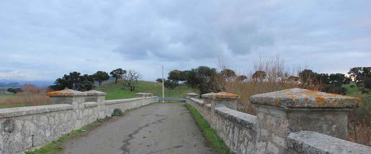 A paved pathway with stone walls and a bench, surrounded by grass and trees.