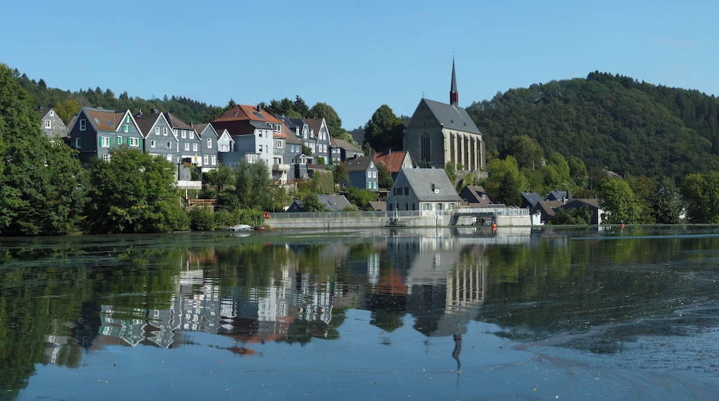 This is a photograph of an architectural monument. It is on the list of cultural monuments of Wuppertal, no. D 238