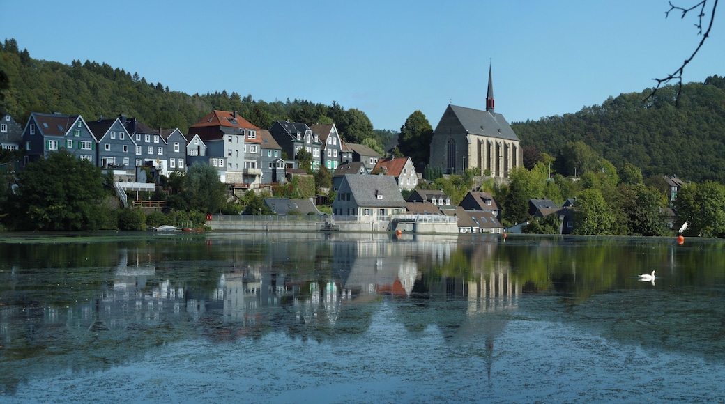 This is a photograph of an architectural monument. It is on the list of cultural monuments of Wuppertal, no. D 238