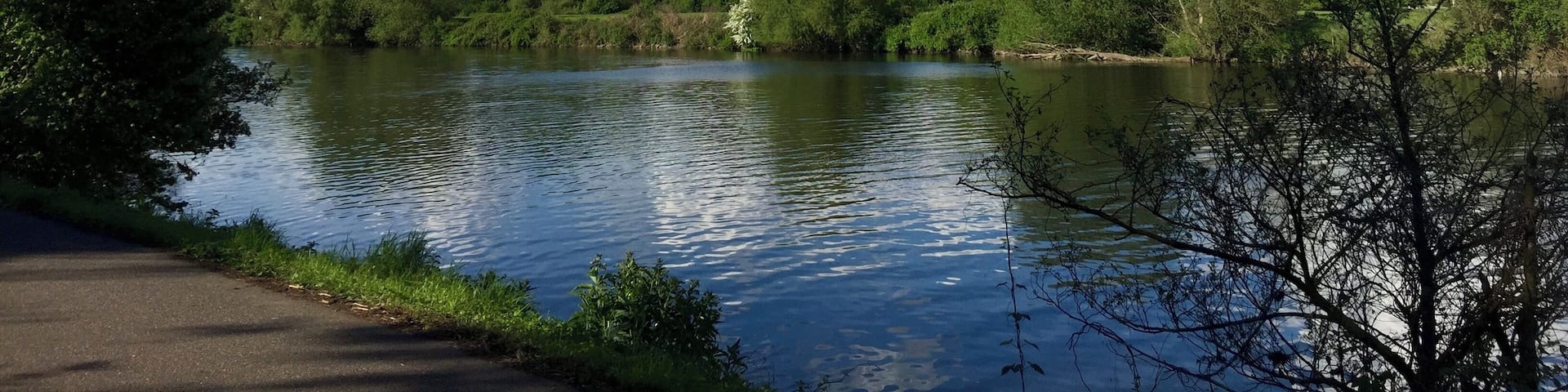 A calm lake surrounded by dense green trees under a clear blue sky with scattered clouds.
