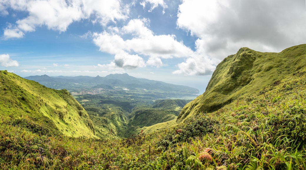 A lush green valley with rolling hills and a clear sky.