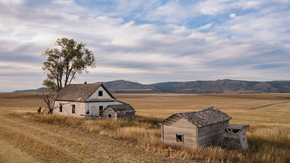 A rural landscape with a white house, a wooden shed, and a tree in a field with distant hills.
